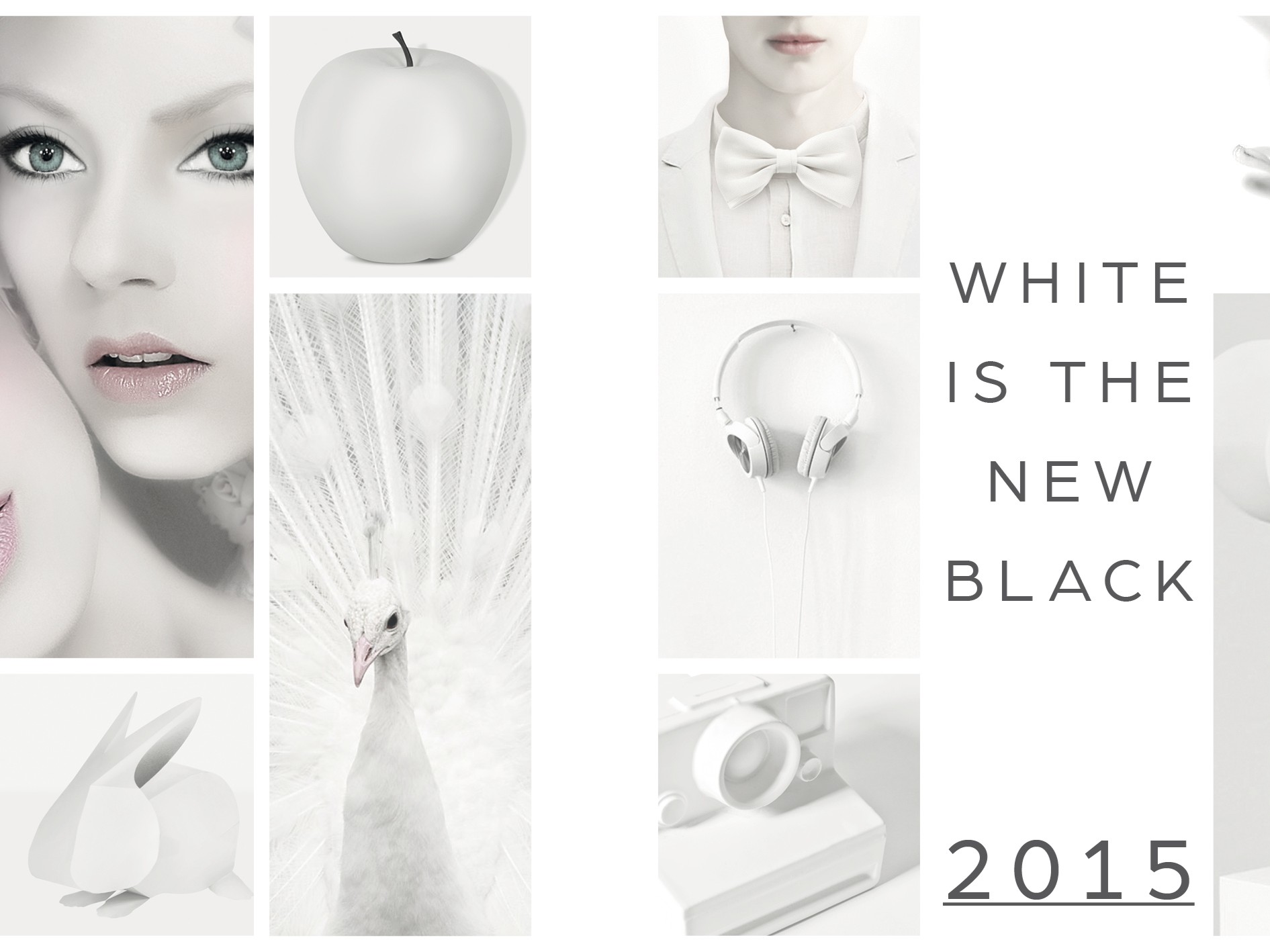 White is the new black: il calendario firmato MAP Communication