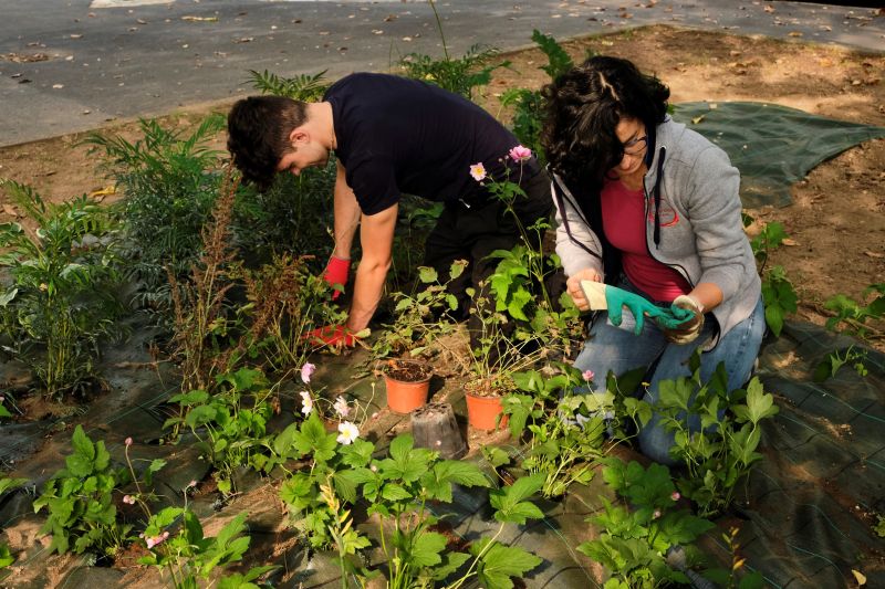 “ADOPT A GREEN AREA”, cosnova Italia per una Milano più green
