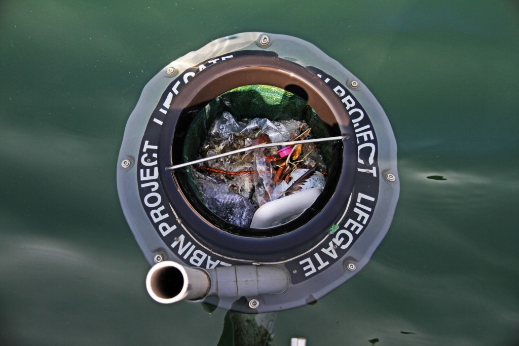 Giornata Mondiale degli Oceani: l’impegno di cosnova Italia